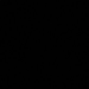 Meet your Posher, Monese